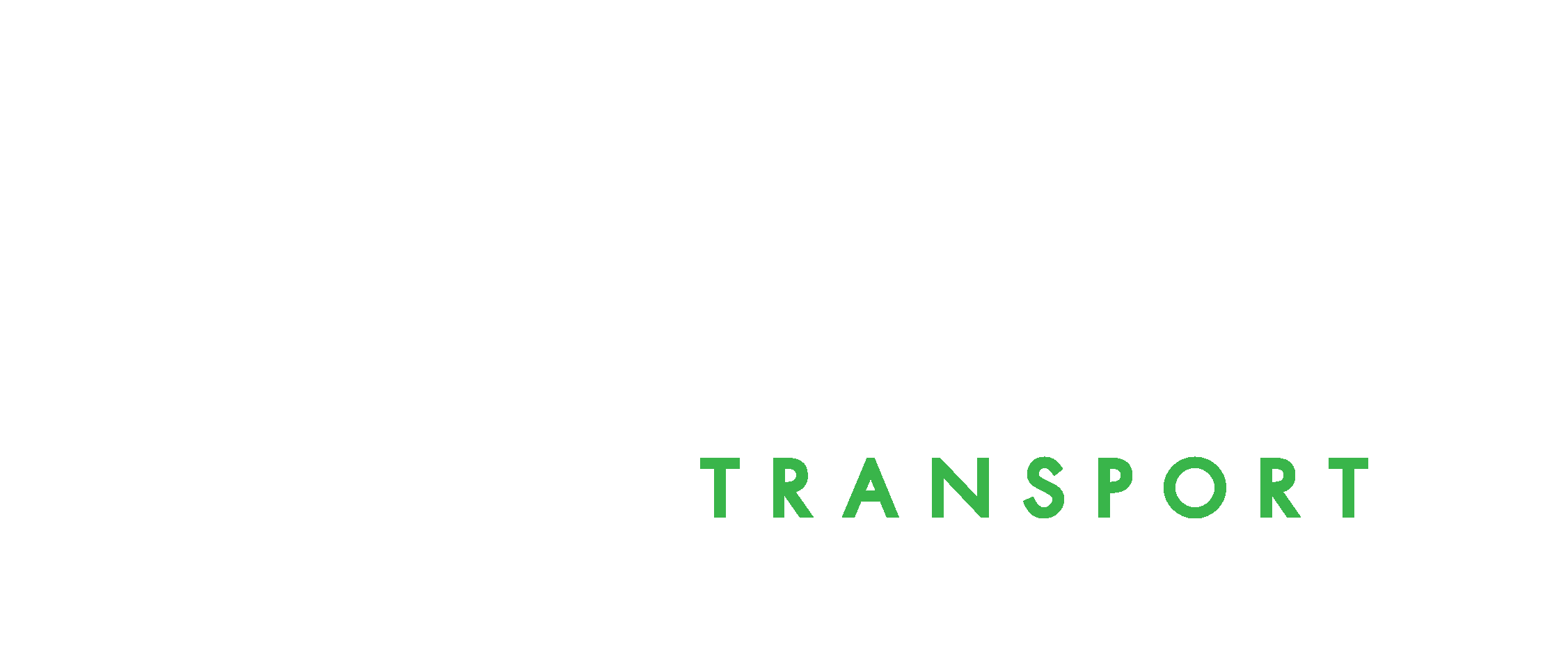NMT Logo